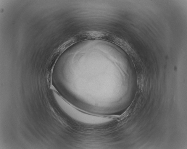 X0000083620360200703121634