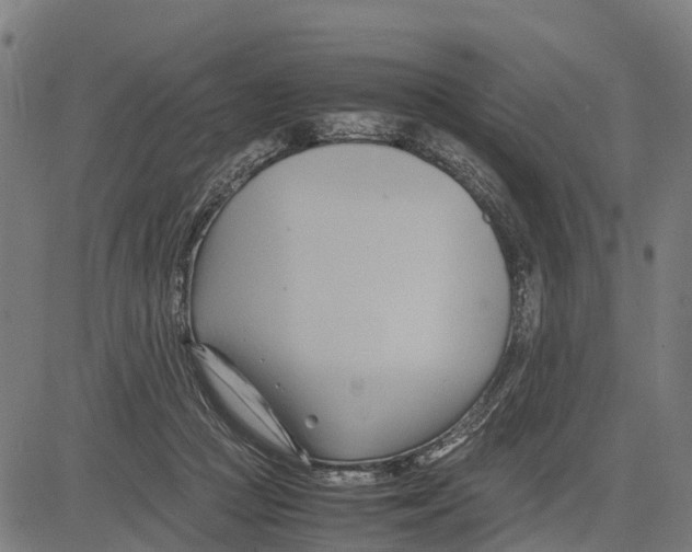 X0000083620361200703121634