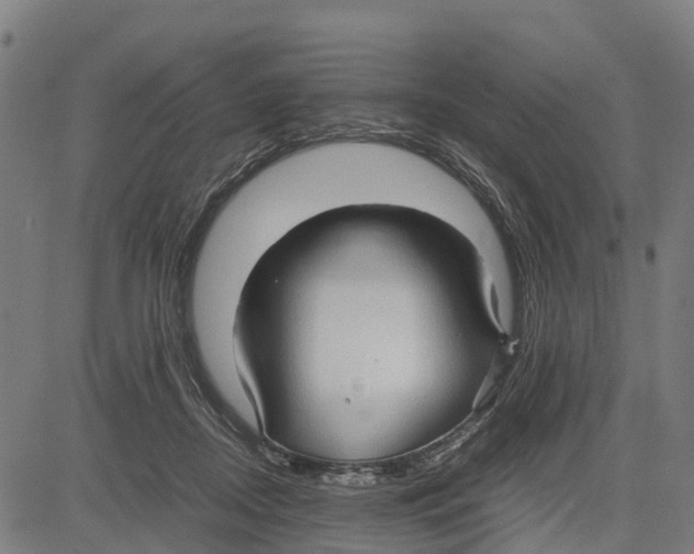 X0000083620362200703121634