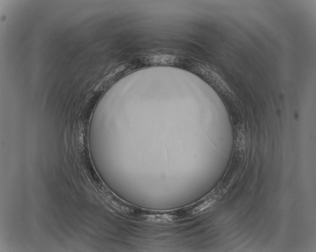 X0000083620363200703121634