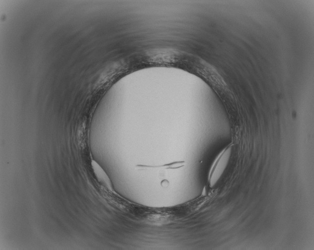 X0000083620364200703121634