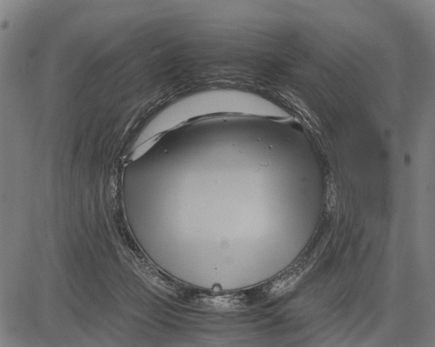 X0000083620365200703121634