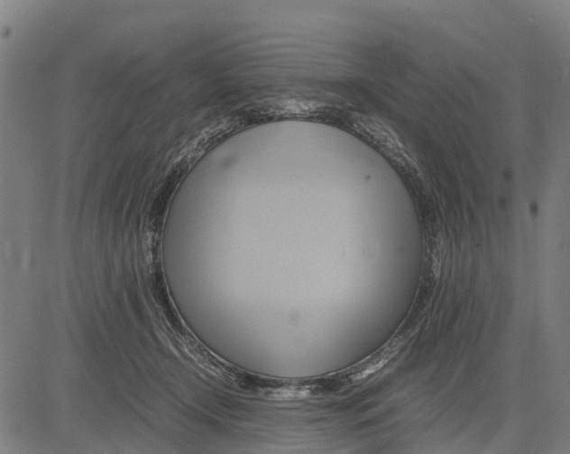 X0000083620366200703121634