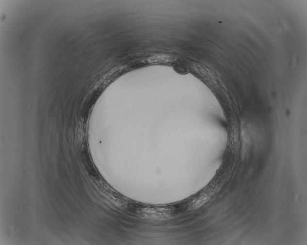 X0000083620367200703121634