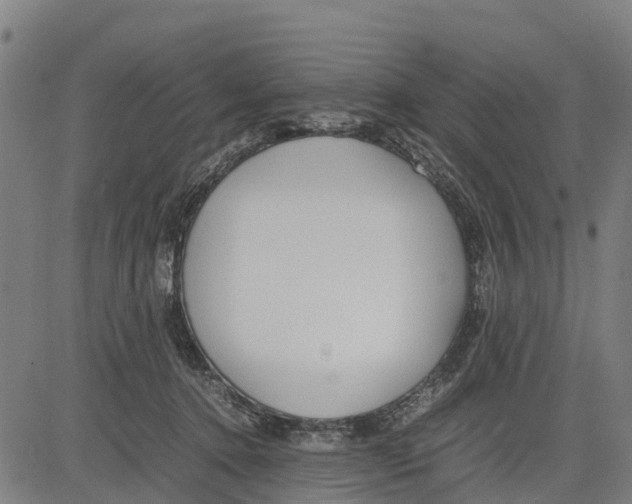 X0000083620368200703121634