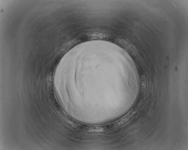 X0000083620369200703121634