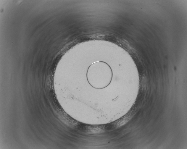 X0000083620370200703121634