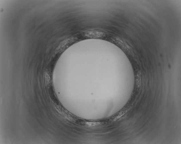 X0000083620371200703121634