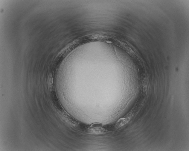 X0000083620372200703121634