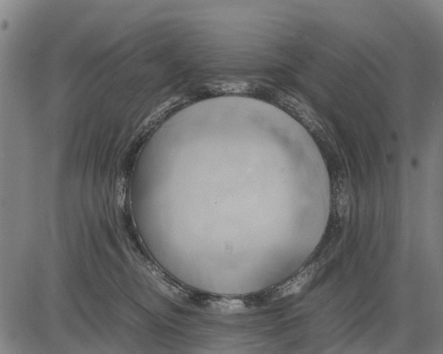 X0000083620374200703121634