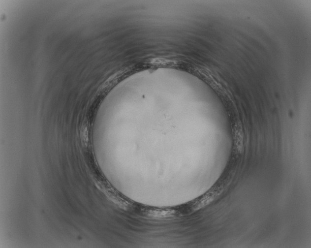 X0000083620375200703121634