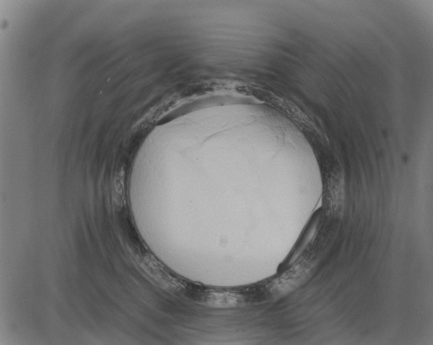 X0000083620376200703121634