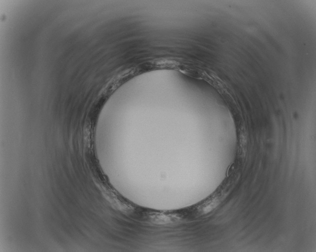 X0000083620379200703121634