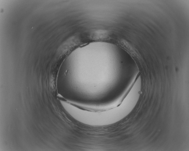 X0000083620380200703121634