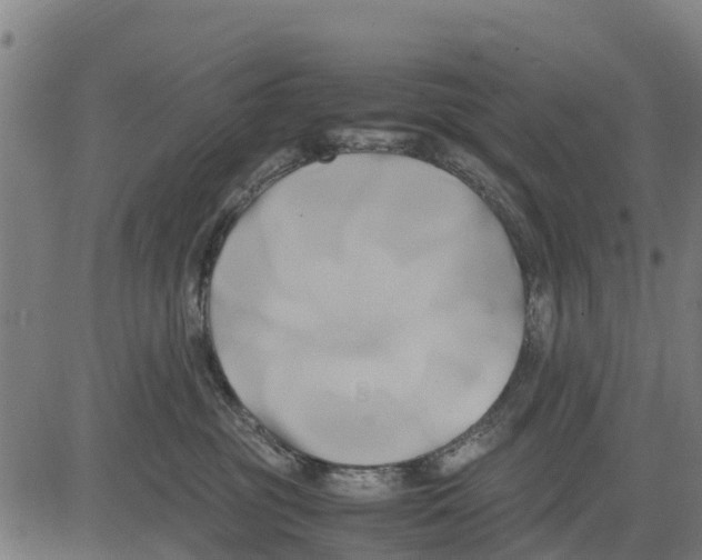 X0000083620381200703121635