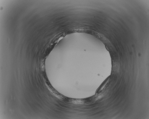 X0000083620383200703121635