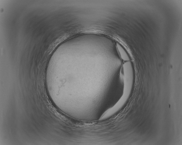 X0000083620385200703121634