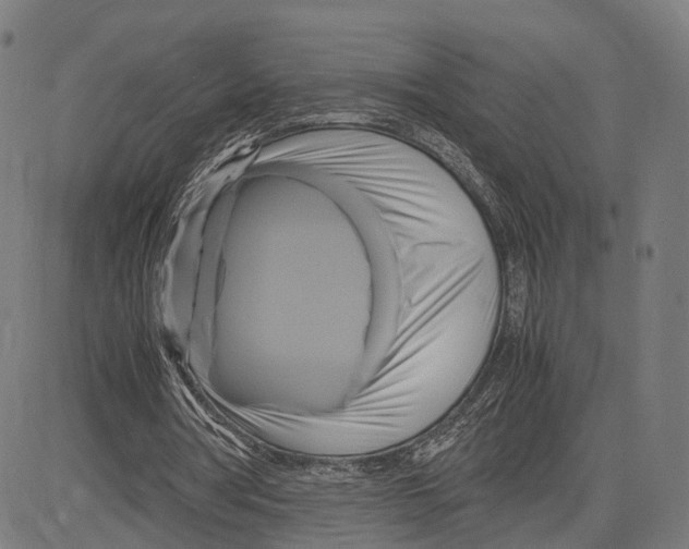 X0000083620386200703121634