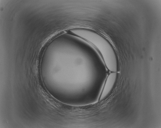 X0000083620387200703121634