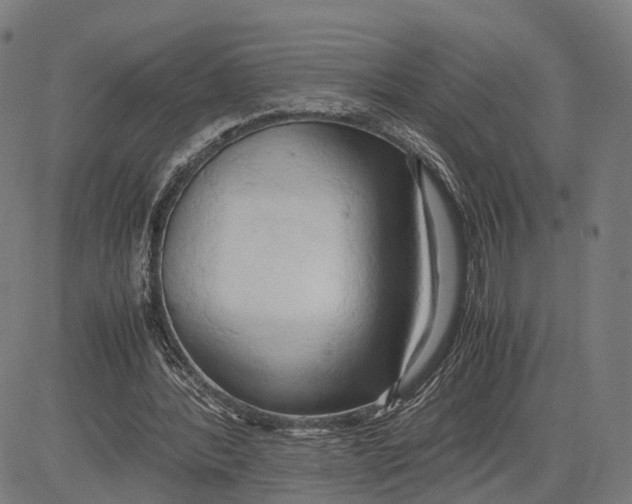 X0000083620388200703121634