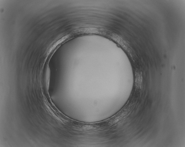 X0000083620390200703121634