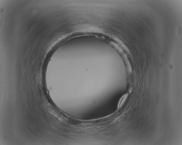 X0000083620391200703121634