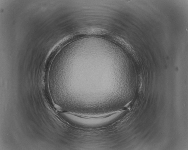 X0000083620392200703121634