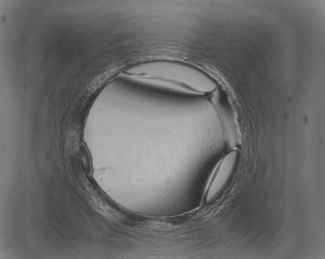 X0000083620393200703121634