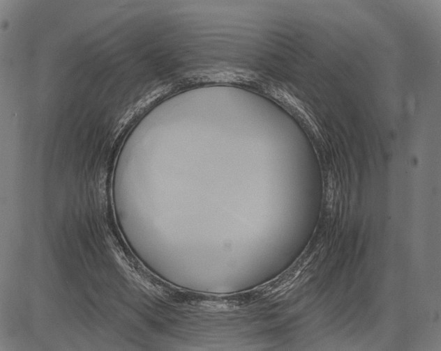 X0000083620394200703121634