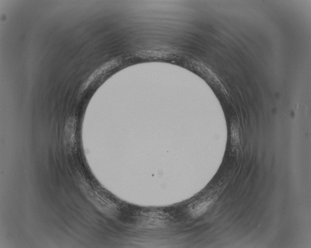 X0000083620396200703121634