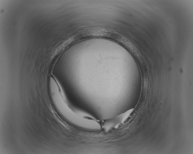 X0000083620397200703121634