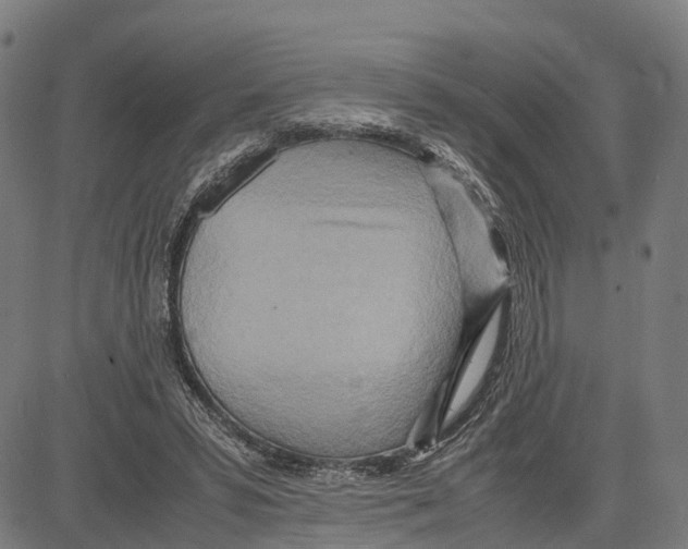 X0000083620399200703121634