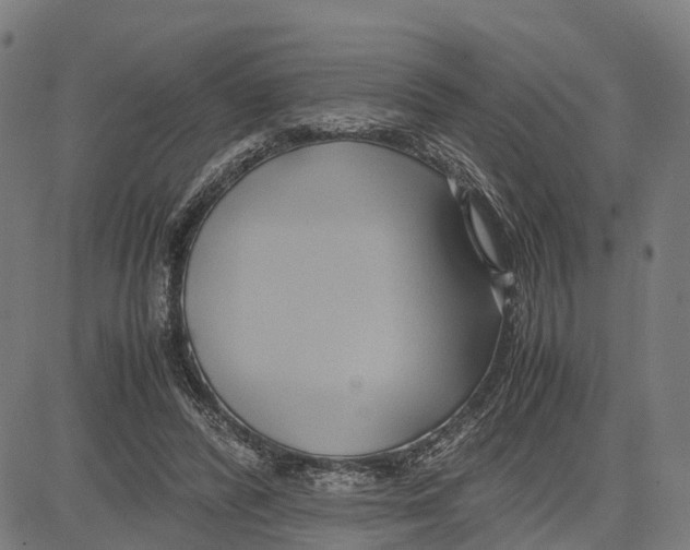 X0000083620400200703121633