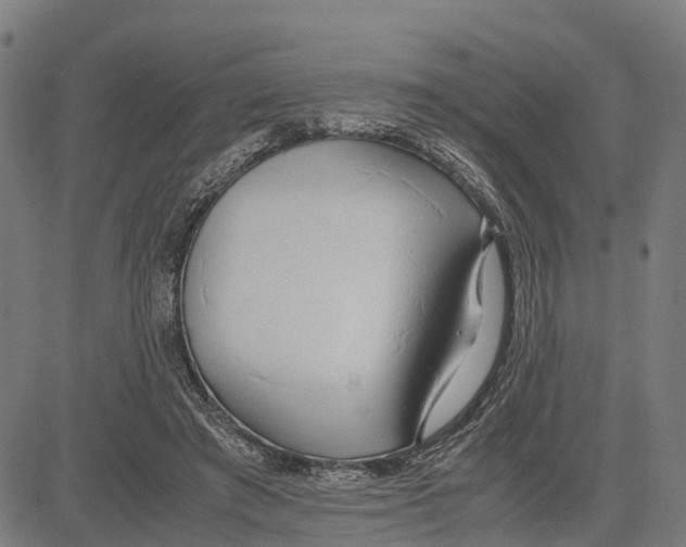 X0000083620401200703121633