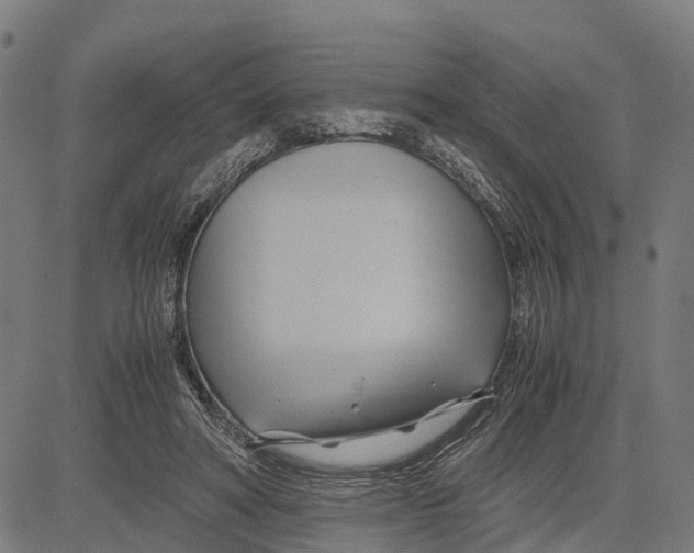 X0000083620402200703121633