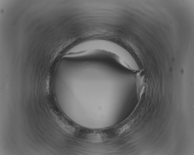 X0000083620404200703121633