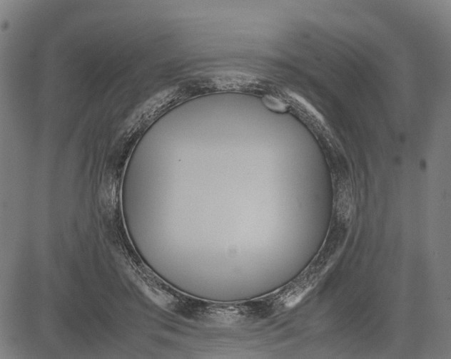 X0000083620405200703121633