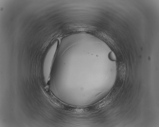 X0000083620406200703121633