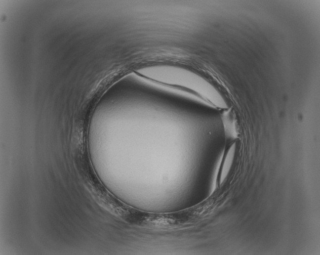 X0000083620407200703121633