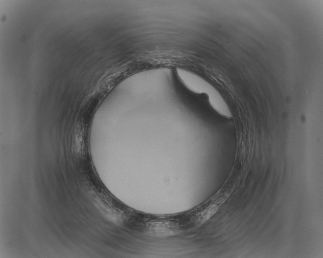 X0000083620408200703121633