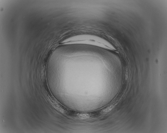 X0000083620409200703121633