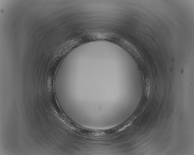 X0000083620410200703121633