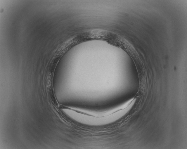 X0000083620413200703121633