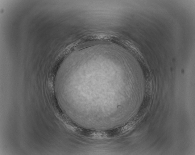 X0000083620415200703121633