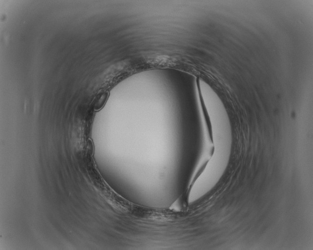 X0000083620416200703121633