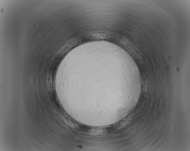 X0000083620418200703121633