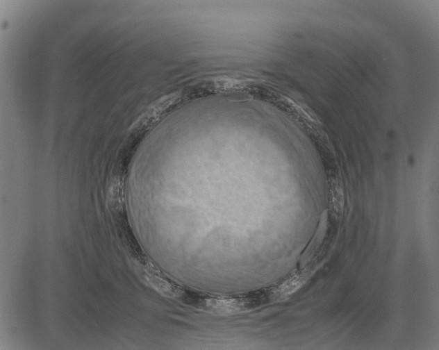 X0000083620419200703121633