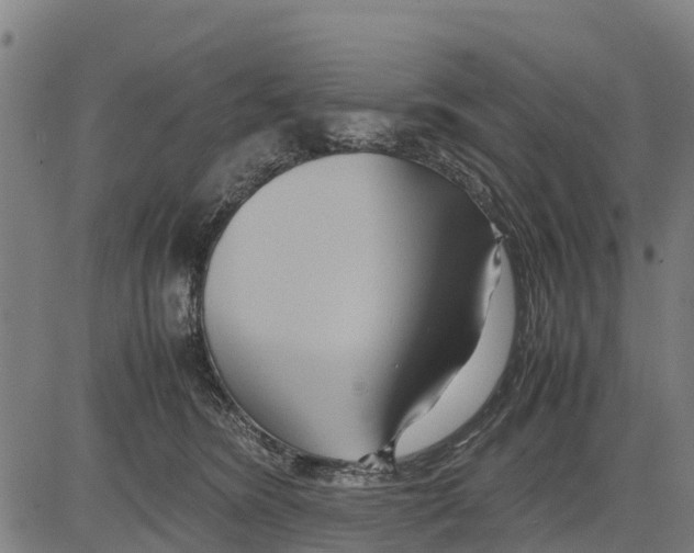 X0000083620420200703121633