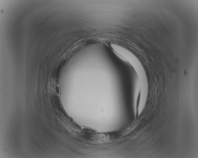 X0000083620421200703121633