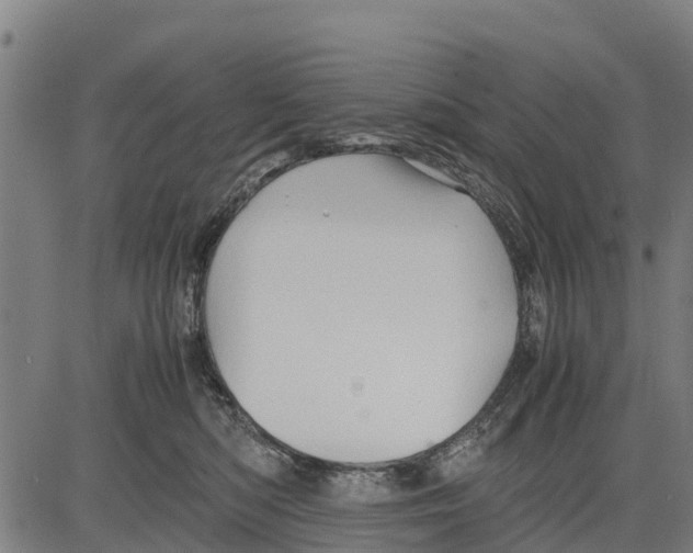 X0000083620422200703121633